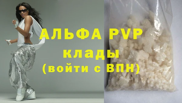 СК Алексин