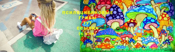 соль курить ск Алексеевка