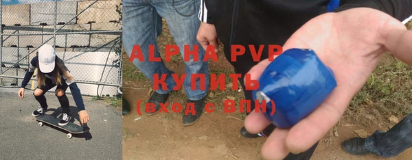 СК Алексин