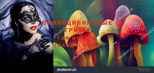 СК Алексин