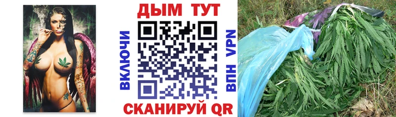 Канабис семена Йошкар-Ола